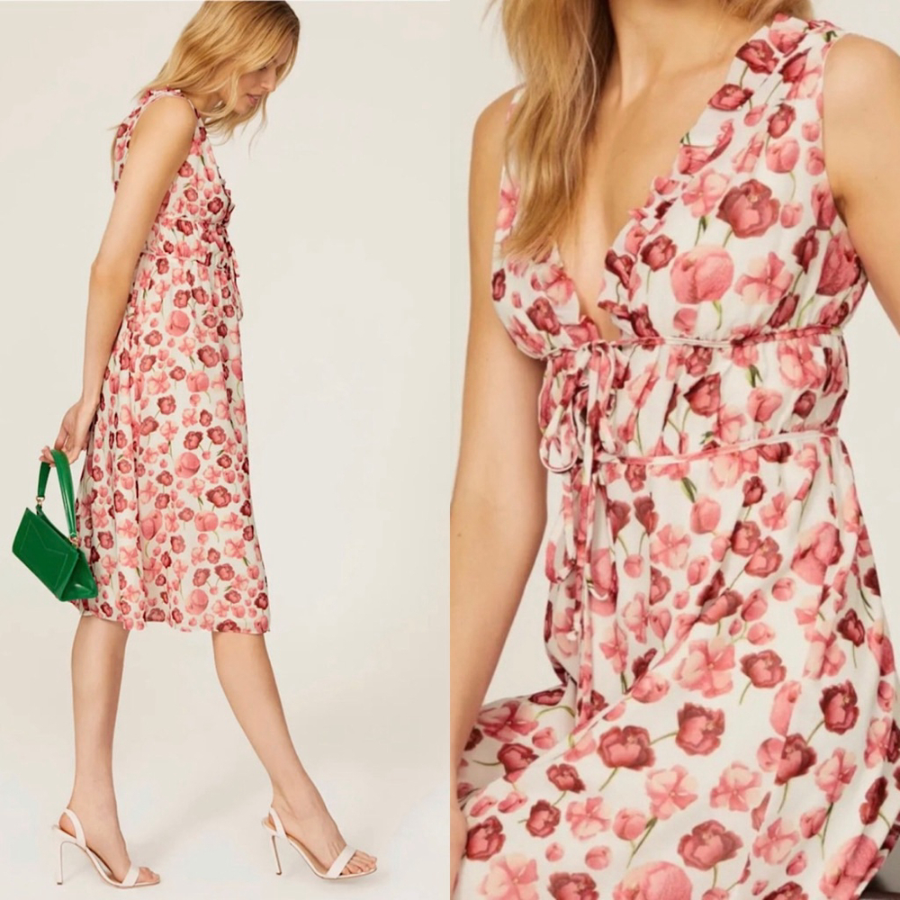 Samantha Sipos NWOT Strawberry Floral mini Dress